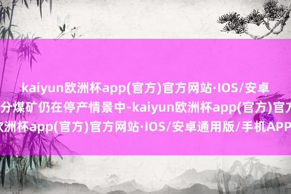 kaiyun欧洲杯app(官方)官方网站·IOS/安卓通用版/手机APP下载部分煤矿仍在停产情景中-kaiyun欧洲杯app(官方)官方网站·IOS/安卓通用版/手机APP下载