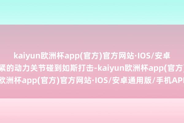 kaiyun欧洲杯app(官方)官方网站·IOS/安卓通用版/手机APP下载要紧的动力关节碰到如斯打击-kaiyun欧洲杯app(官方)官方网站·IOS/安卓通用版/手机APP下载