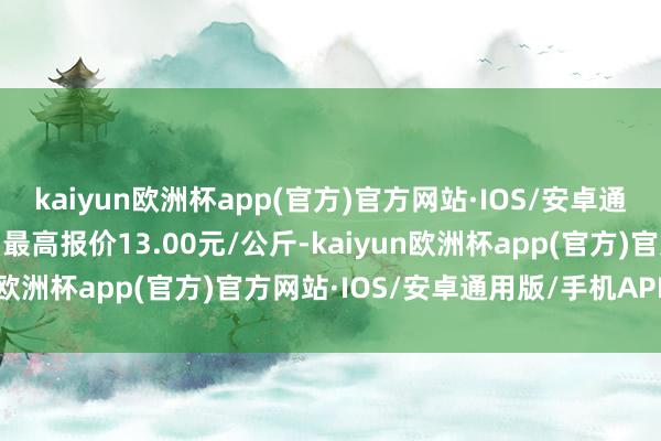 kaiyun欧洲杯app(官方)官方网站·IOS/安卓通用版/手机APP下载当日最高报价13.00元/公斤-kaiyun欧洲杯app(官方)官方网站·IOS/安卓通用版/手机APP下载