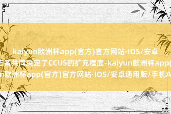 kaiyun欧洲杯app(官方)官方网站·IOS/安卓通用版/手机APP下载三者共同决定了CCUS的扩充程度-kaiyun欧洲杯app(官方)官方网站·IOS/安卓通用版/手机APP下载
