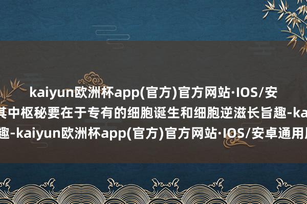 kaiyun欧洲杯app(官方)官方网站·IOS/安卓通用版/手机APP下载其中枢秘要在于专有的细胞诞生和细胞逆滋长旨趣-kaiyun欧洲杯app(官方)官方网站·IOS/安卓通用版/手机APP下载