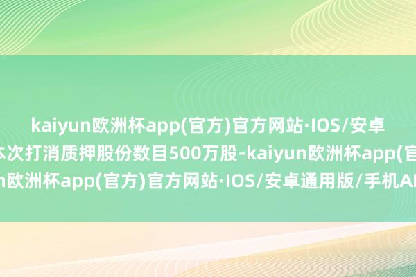 kaiyun欧洲杯app(官方)官方网站·IOS/安卓通用版/手机APP下载本次打消质押股份数目500万股-kaiyun欧洲杯app(官方)官方网站·IOS/安卓通用版/手机APP下载