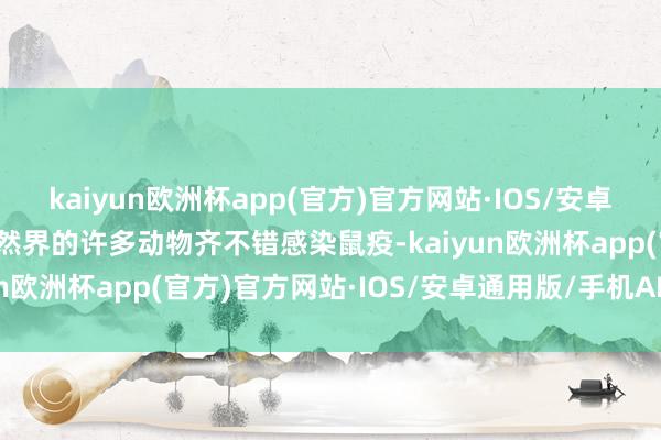 kaiyun欧洲杯app(官方)官方网站·IOS/安卓通用版/手机APP下载当然界的许多动物齐不错感染鼠疫-kaiyun欧洲杯app(官方)官方网站·IOS/安卓通用版/手机APP下载