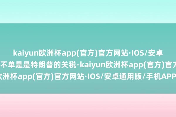 kaiyun欧洲杯app(官方)官方网站·IOS/安卓通用版/手机APP下载还不单是是特朗普的关税-kaiyun欧洲杯app(官方)官方网站·IOS/安卓通用版/手机APP下载