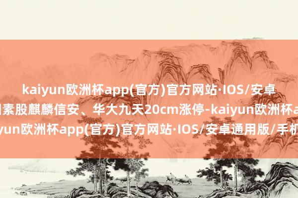 kaiyun欧洲杯app(官方)官方网站·IOS/安卓通用版/手机APP下载因素股麒麟信安、华大九天20cm涨停-kaiyun欧洲杯app(官方)官方网站·IOS/安卓通用版/手机APP下载