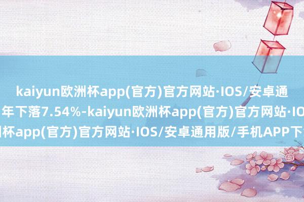 kaiyun欧洲杯app(官方)官方网站·IOS/安卓通用版/手机APP下载近1年下落7.54%-kaiyun欧洲杯app(官方)官方网站·IOS/安卓通用版/手机APP下载