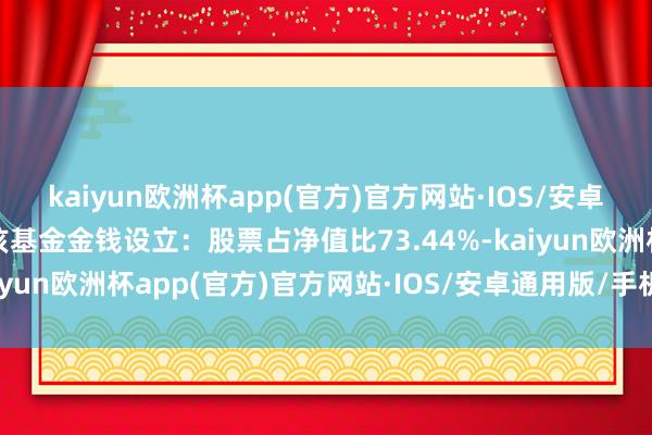 kaiyun欧洲杯app(官方)官方网站·IOS/安卓通用版/手机APP下载该基金金钱设立：股票占净值比73.44%-kaiyun欧洲杯app(官方)官方网站·IOS/安卓通用版/手机APP下载