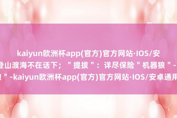 kaiyun欧洲杯app(官方)官方网站·IOS/安卓通用版/手机APP下载登山渡海不在话下；＂提拔＂：详尽保险＂机器狼＂-kaiyun欧洲杯app(官方)官方网站·IOS/安卓通用版/手机APP下载