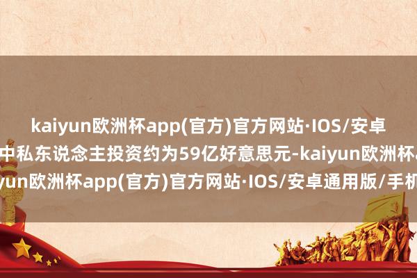 kaiyun欧洲杯app(官方)官方网站·IOS/安卓通用版/手机APP下载其中私东说念主投资约为59亿好意思元-kaiyun欧洲杯app(官方)官方网站·IOS/安卓通用版/手机APP下载