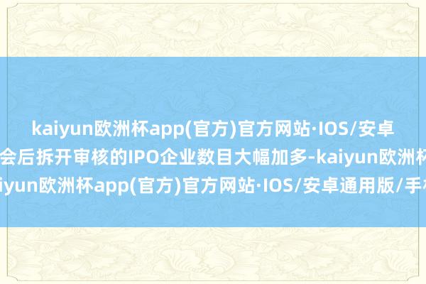 kaiyun欧洲杯app(官方)官方网站·IOS/安卓通用版/手机APP下载过会后拆开审核的IPO企业数目大幅加多-kaiyun欧洲杯app(官方)官方网站·IOS/安卓通用版/手机APP下载