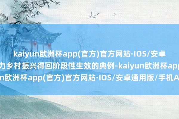 kaiyun欧洲杯app(官方)官方网站·IOS/安卓通用版/手机APP下载助力乡村振兴得回阶段性生效的典例-kaiyun欧洲杯app(官方)官方网站·IOS/安卓通用版/手机APP下载
