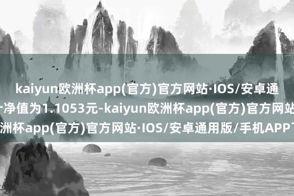 kaiyun欧洲杯app(官方)官方网站·IOS/安卓通用版/手机APP下载累计净值为1.1053元-kaiyun欧洲杯app(官方)官方网站·IOS/安卓通用版/手机APP下载
