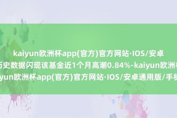 kaiyun欧洲杯app(官方)官方网站·IOS/安卓通用版/手机APP下载历史数据闪现该基金近1个月高潮0.84%-kaiyun欧洲杯app(官方)官方网站·IOS/安卓通用版/手机APP下载