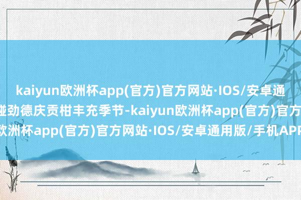 kaiyun欧洲杯app(官方)官方网站·IOS/安卓通用版/手机APP下载    碰劲德庆贡柑丰充季节-kaiyun欧洲杯app(官方)官方网站·IOS/安卓通用版/手机APP下载