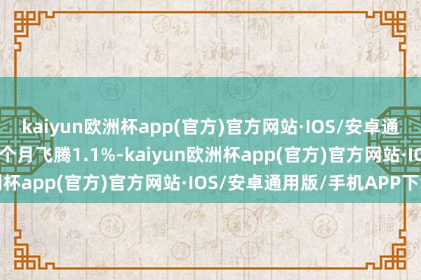 kaiyun欧洲杯app(官方)官方网站·IOS/安卓通用版/手机APP下载近3个月飞腾1.1%-kaiyun欧洲杯app(官方)官方网站·IOS/安卓通用版/手机APP下载
