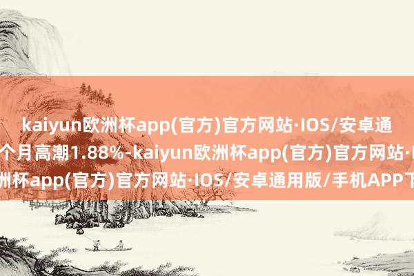kaiyun欧洲杯app(官方)官方网站·IOS/安卓通用版/手机APP下载近6个月高潮1.88%-kaiyun欧洲杯app(官方)官方网站·IOS/安卓通用版/手机APP下载