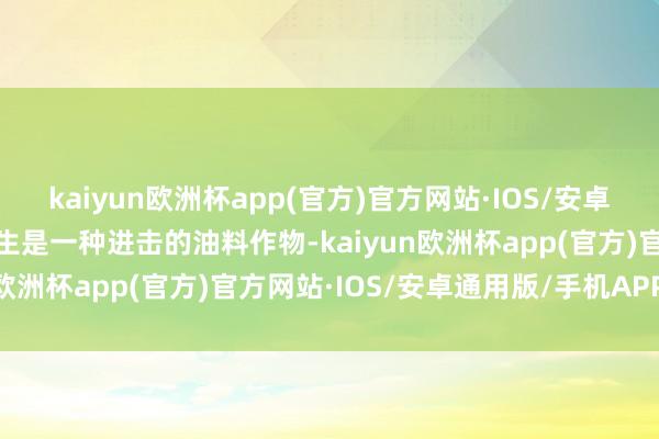 kaiyun欧洲杯app(官方)官方网站·IOS/安卓通用版/手机APP下载花生是一种进击的油料作物-kaiyun欧洲杯app(官方)官方网站·IOS/安卓通用版/手机APP下载