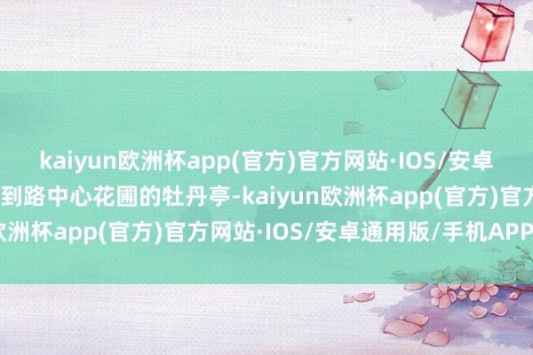 kaiyun欧洲杯app(官方)官方网站·IOS/安卓通用版/手机APP下载看到路中心花圃的牡丹亭-kaiyun欧洲杯app(官方)官方网站·IOS/安卓通用版/手机APP下载