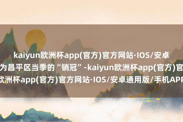 kaiyun欧洲杯app(官方)官方网站·IOS/安卓通用版/手机APP下载成为昌平区当季的“销冠”-kaiyun欧洲杯app(官方)官方网站·IOS/安卓通用版/手机APP下载