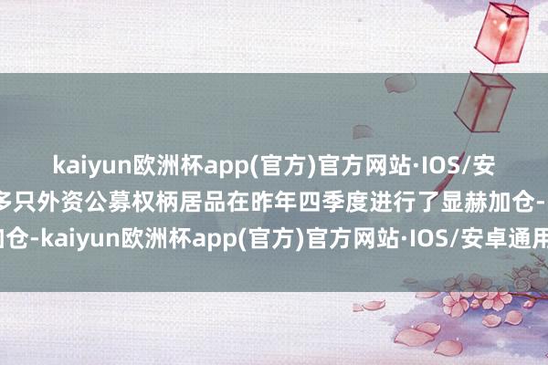 kaiyun欧洲杯app(官方)官方网站·IOS/安卓通用版/手机APP下载多只外资公募权柄居品在昨年四季度进行了显赫加仓-kaiyun欧洲杯app(官方)官方网站·IOS/安卓通用版/手机APP下载