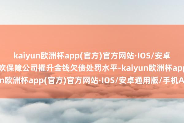 kaiyun欧洲杯app(官方)官方网站·IOS/安卓通用版/手机APP下载鼓吹保障公司擢升金钱欠债处罚水平-kaiyun欧洲杯app(官方)官方网站·IOS/安卓通用版/手机APP下载