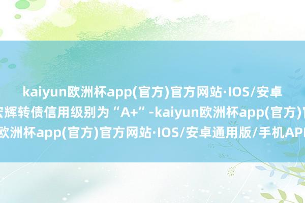 kaiyun欧洲杯app(官方)官方网站·IOS/安卓通用版/手机APP下载宏辉转债信用级别为“A+”-kaiyun欧洲杯app(官方)官方网站·IOS/安卓通用版/手机APP下载